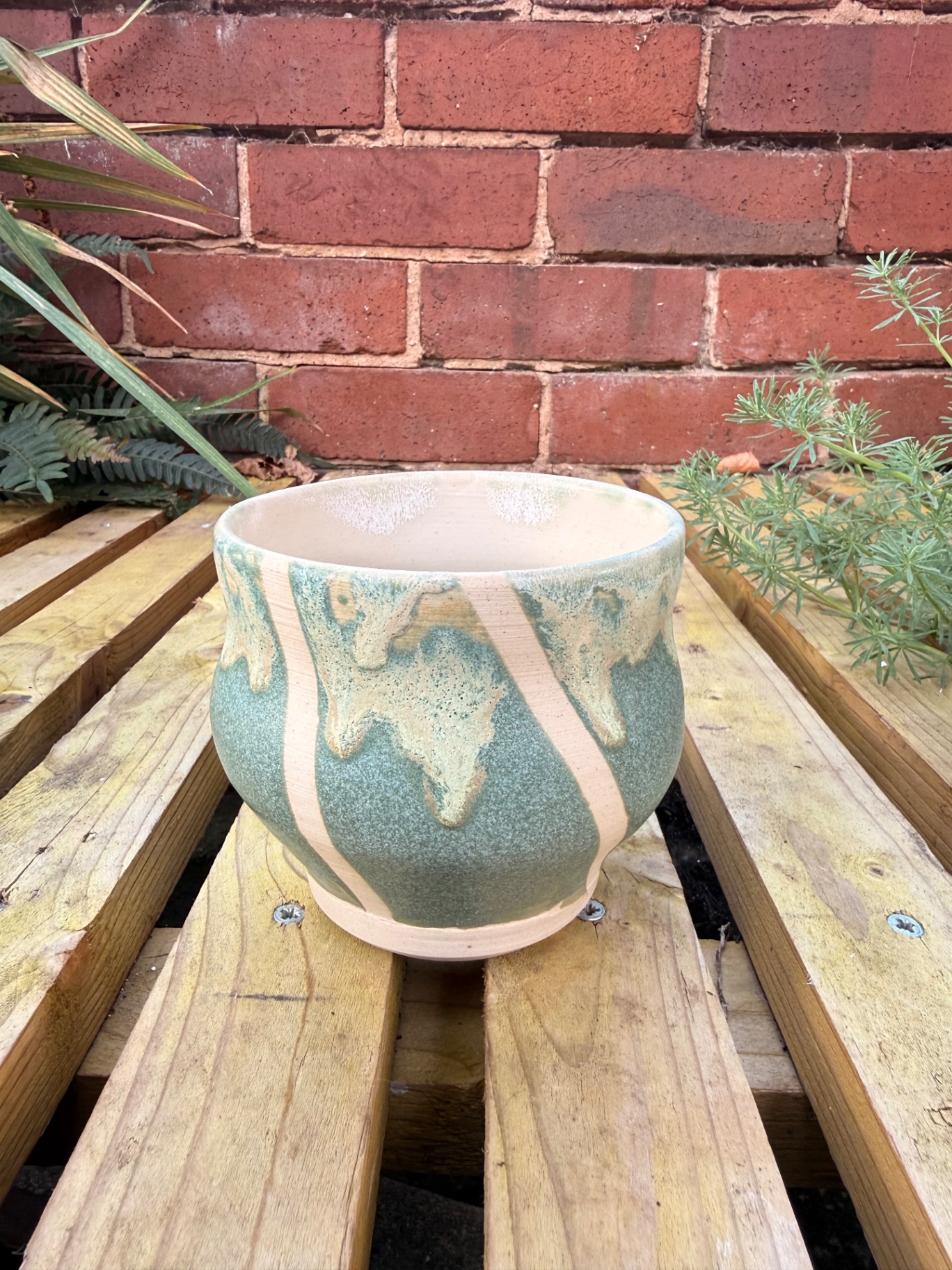 A Green Beach handleless cup with a sandy clay stripe through the glaze